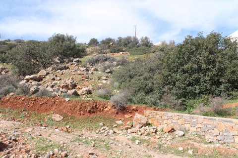 1770m² Land en Agios Nikolaos, Greece No. 57486 5