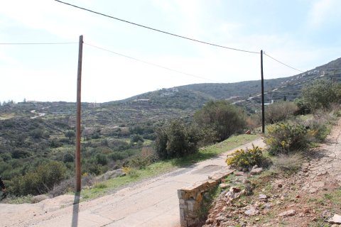 1770m² Land in Agios Nikolaos, Greece No. 57486 7