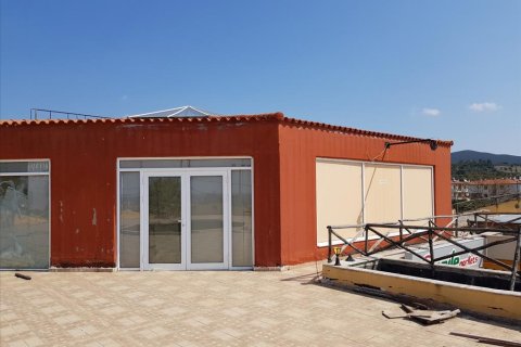 330m² Negocio en Polygyros, Greece No. 57489 14