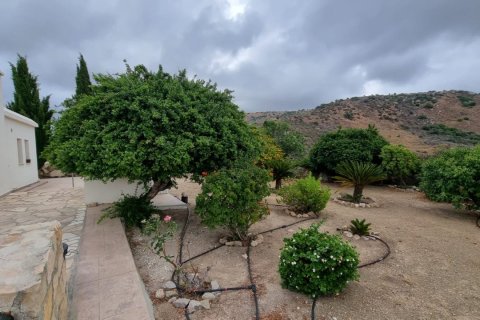 3 chambres House à Pegeia, Cyprus No. 37267 8