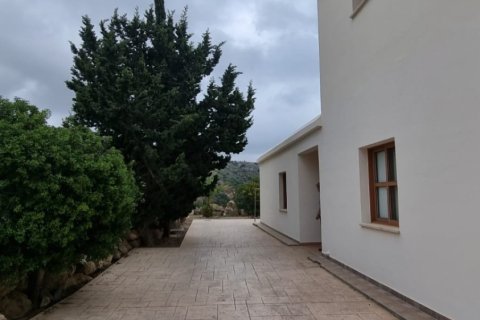 3 chambres House à Pegeia, Cyprus No. 37267 14