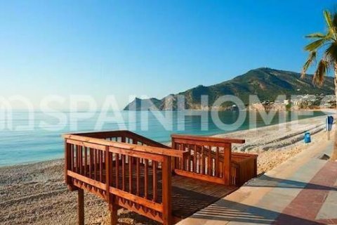 3 chambres Penthouse à Benidorm, Spain No. 26521 18