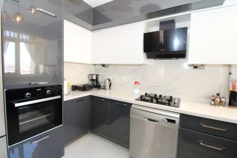 5+1 Penthouse in Istanbul, Turkey No. 11264 14