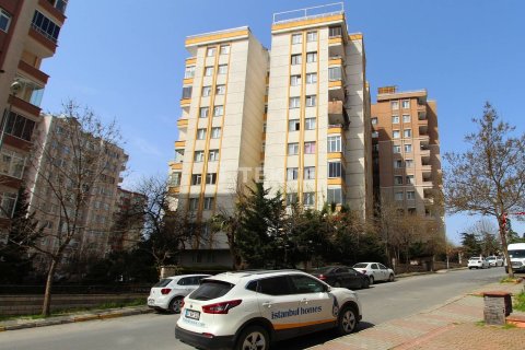 5+1 Penthouse in Istanbul, Turkey No. 11264 1