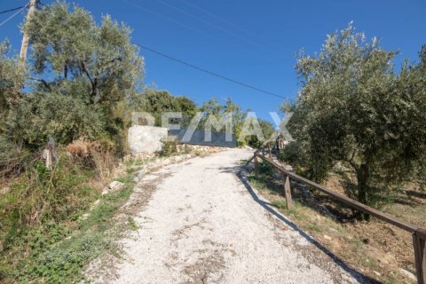 4 chambres House à Magnesia, Greece No. 64930 4