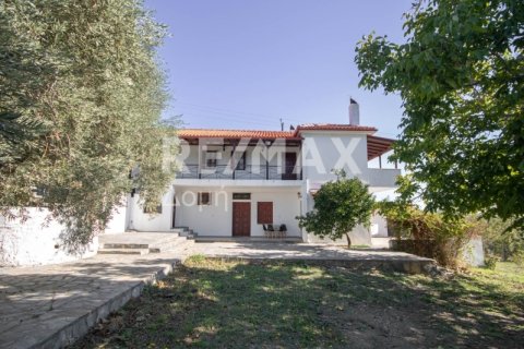 4 chambres House à Magnesia, Greece No. 64930 5