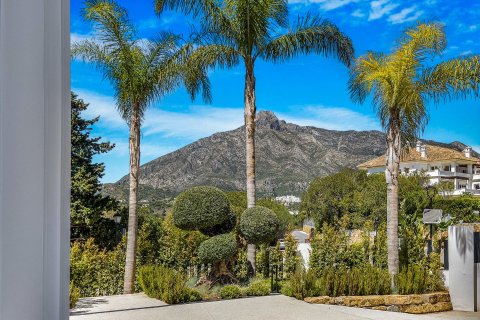 6 chambres Villa à Marbella, Spain No. 90785 15
