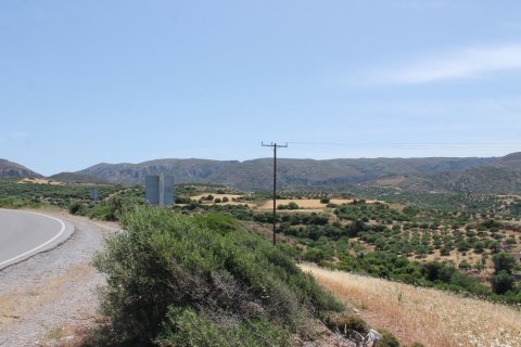 10447m² Land à Lasithi, Greece No. 57260 4