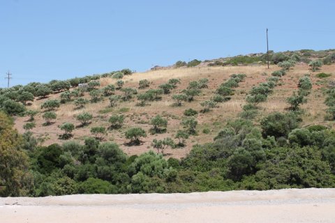 10447m² Land en Lasithi, Greece No. 57260 1