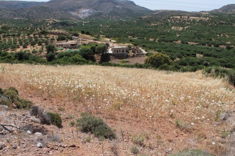 10447m² Land in Lasithi, Greece No. 57260 3