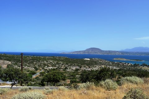 6950m² Land en Chania, Greece No. 57255 6