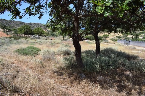 6950m² Land en Chania, Greece No. 57255 11