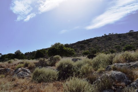 6950m² Land in Chania, Greece No. 57255 9