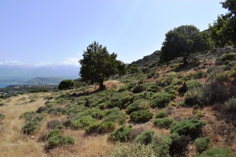 6950m² Land in Chania, Greece No. 57255 10