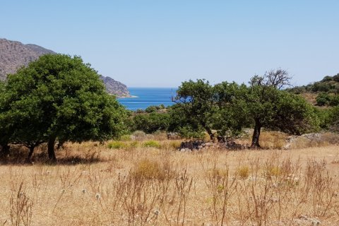 8000m² Land à Agios Nikolaos, Greece No. 57261 1