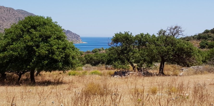 8000m² Land à Agios Nikolaos, Greece No. 57261