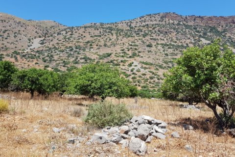 8000m² Land in Agios Nikolaos, Greece No. 57261 7