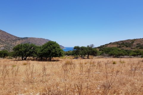 8000m² Land in Agios Nikolaos, Greece No. 57261 4