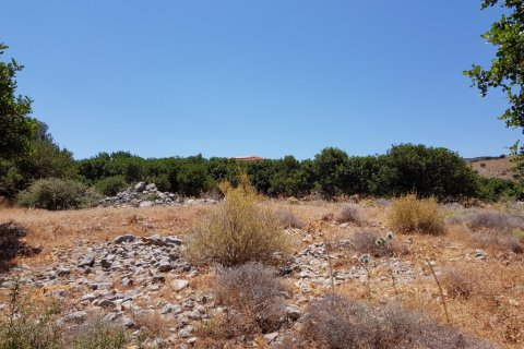 8000m² Land in Agios Nikolaos, Greece No. 57261 3