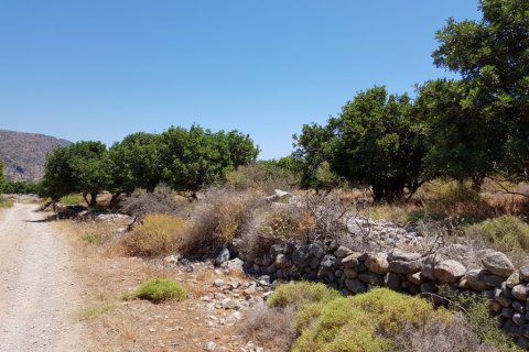 8000m² Land in Agios Nikolaos, Greece No. 57261 2