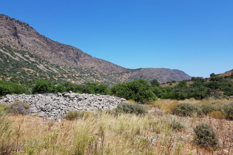 8000m² Land à Agios Nikolaos, Greece No. 57261 8