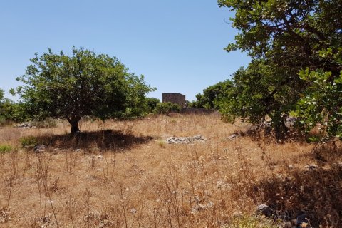 8000m² Land à Agios Nikolaos, Greece No. 57261 6