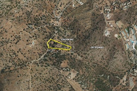 8000m² Land in Agios Nikolaos, Greece No. 57261 9