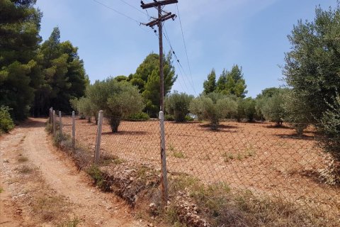 5078m² Land à Chalkidiki, Greece No. 57131 5