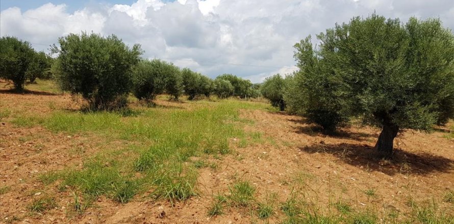 5078m² Land à Chalkidiki, Greece No. 57131