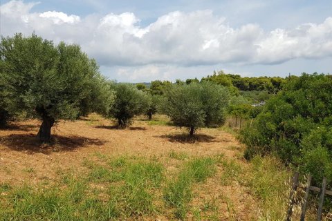 5078m² Land en Chalkidiki, Greece No. 57131 2