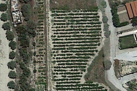 4695m² Land en Heraklion, Greece No. 57132 3