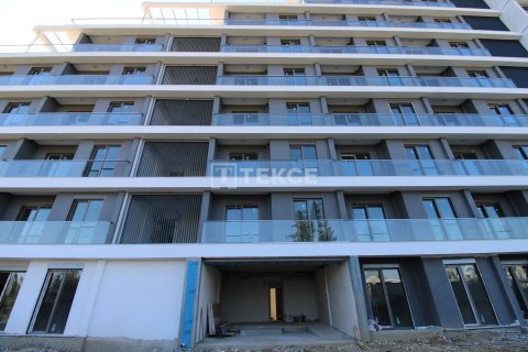 Квартира 1+1 в Аксу, Турция №12258 24