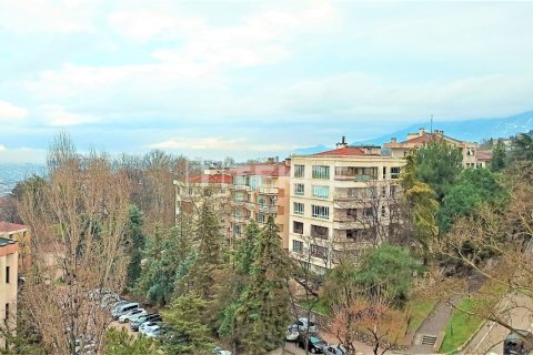 4+1 Penthouse à Bursa, Turkey No. 12296 2