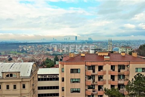 4+1 Penthouse à Bursa, Turkey No. 12296 3