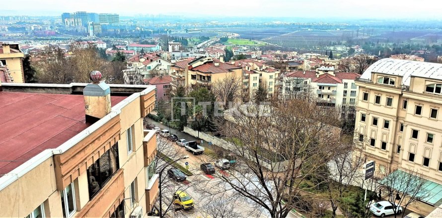 4+1 Penthouse in Bursa, Turkey No. 12296