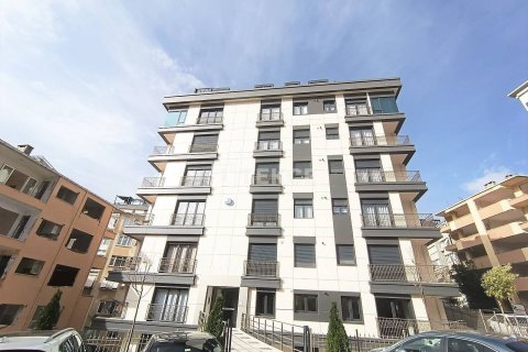 5+1 Apartment en Istanbul, Turkey No. 11890 22