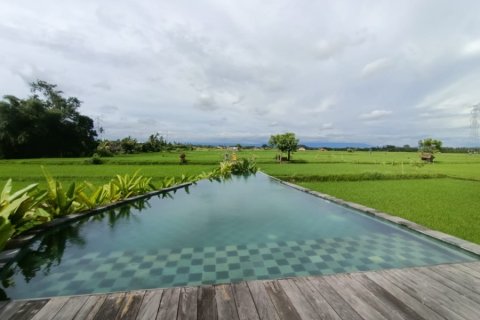 8 dormitorios Villa en Ubud, Indonesia No. 23043 1