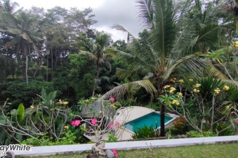 5 dormitorios Villa en Ubud, Indonesia No. 23044 10