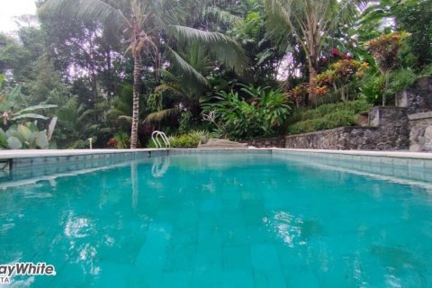 5 bedrooms Villa in Ubud, Indonesia No. 23044 18