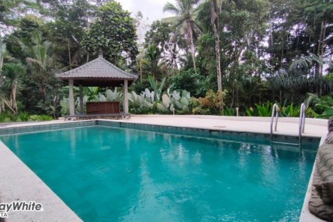 5 dormitorios Villa en Ubud, Indonesia No. 23044 20