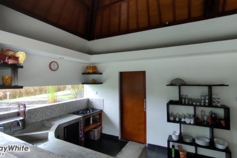 5 dormitorios Villa en Ubud, Indonesia No. 23044 13