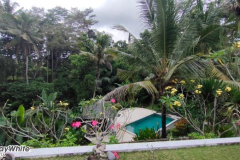 5 dormitorios Villa en Ubud, Indonesia No. 23044 2