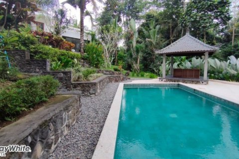 5 dormitorios Villa en Ubud, Indonesia No. 23044 19