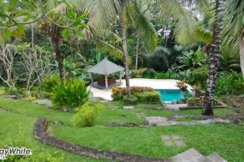 5 chambres Villa à Ubud, Indonesia No. 23044 22