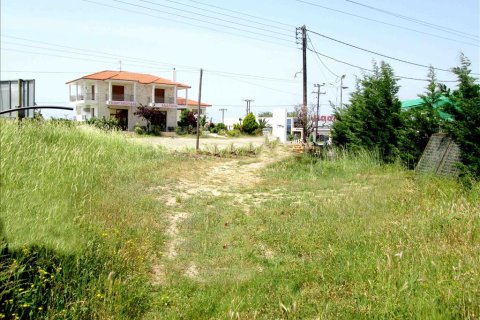 3100m² Land en Chalkidiki, Greece No. 59700 4