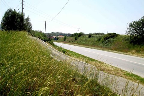 3100m² Land en Chalkidiki, Greece No. 59700 1