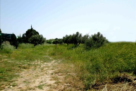 3100m² Land in Chalkidiki, Greece No. 59700 5