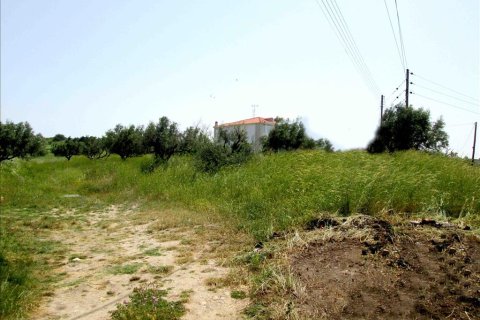 3100m² Land in Chalkidiki, Greece No. 59700 3