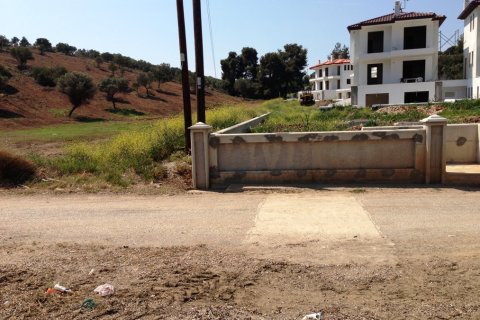 26625m² Land in Chalkidiki, Greece No. 59699 4