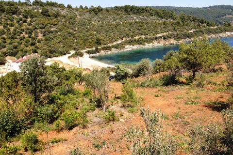 26625m² Land à Chalkidiki, Greece No. 59699 2